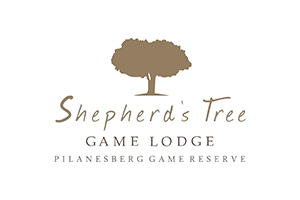 Shepherds_Tree